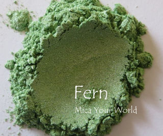 Fern