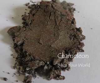 Chamleon