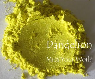 Dandelion